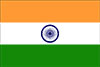 india-flag_100